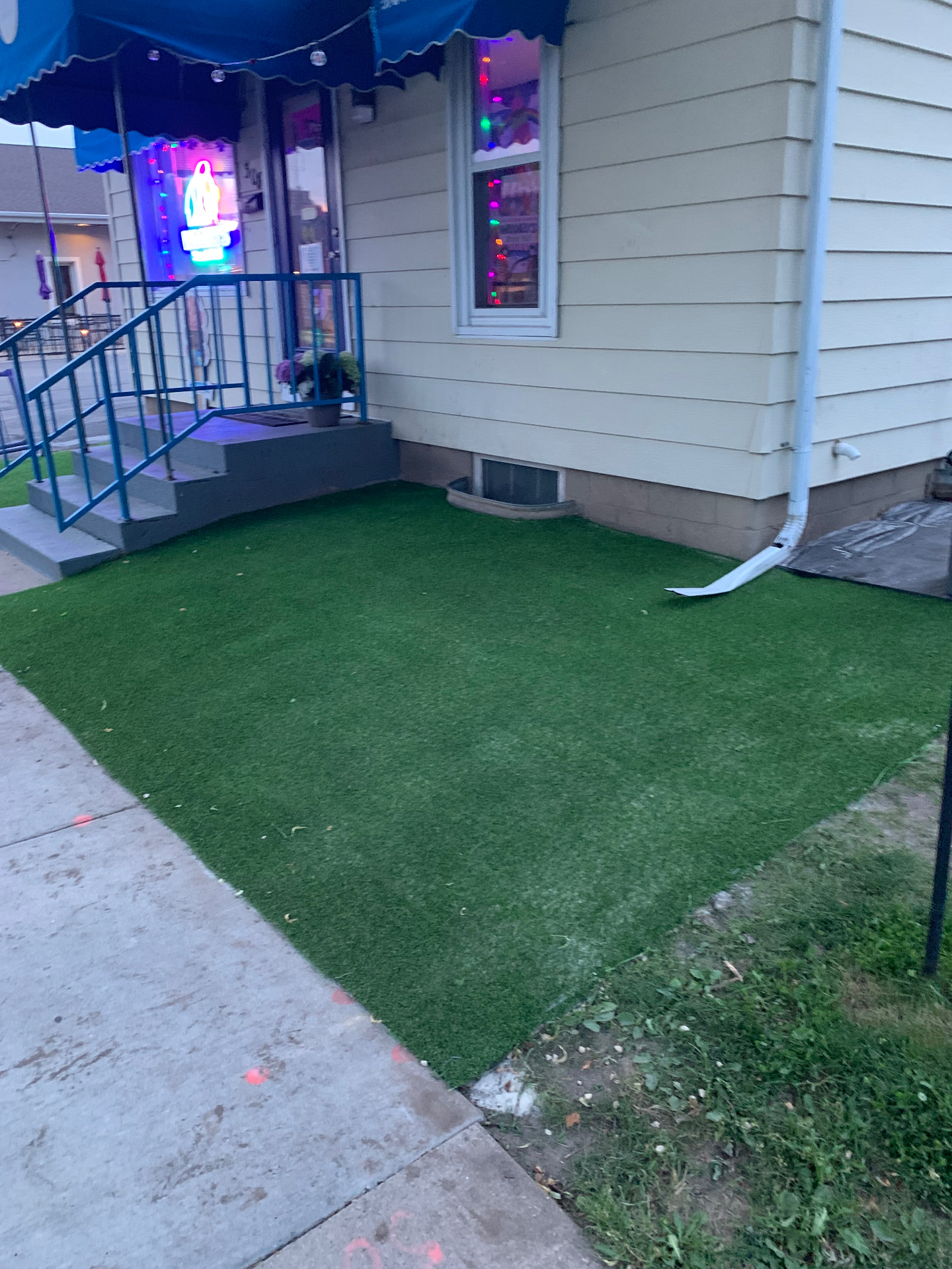 Storefront turf install — weedy strip to low-maintenance turf before