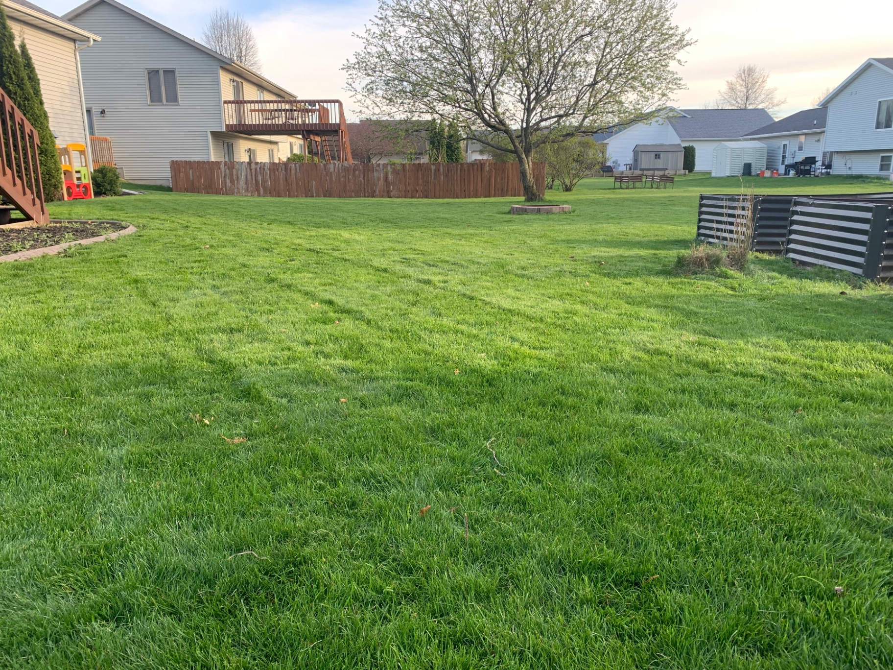 Overgrown backyard mow & cleanup before